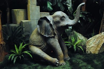 Baby Elephant, Sitting