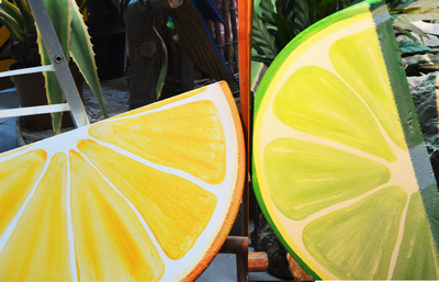 Half a lime Slice