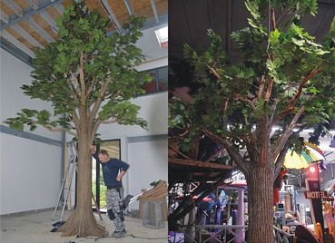 Real life-size Maple-tree