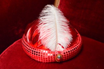 sale Harem's Hat with feather