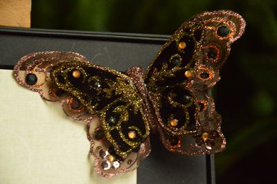 sale Butterfly, Diamond Brown a pc.