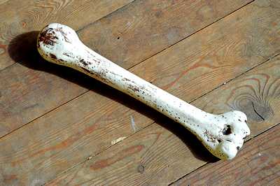 sale, Humerus," Funny Bone"