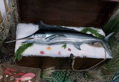 Swordfish, Marlin