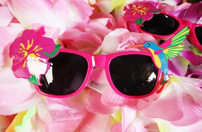 sale Spectacles Humming-bird & Hibiscus