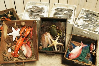 Case with Seafood