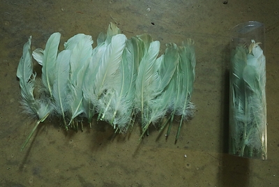 sale 36 Plumes Pistache Pale Green